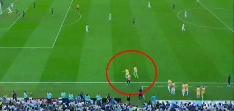 جانب من دخول بدلاء الأرجنتين أرضية الملعب أثناء تسجيل ليونيل ميسي الهدف الثالث (Daily mail)